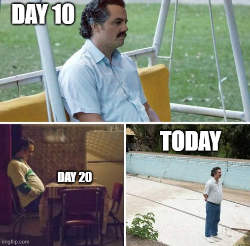 Sad Pablo Escobar | DAY 10; TODAY; DAY 20 | image tagged in memes,sad pablo escobar | made w/ Imgflip meme maker