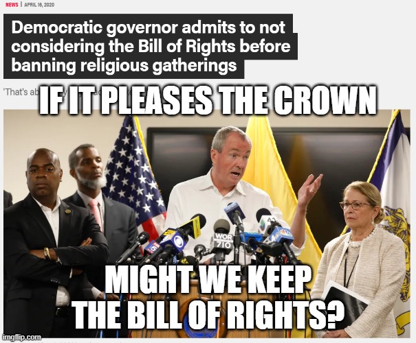 Bill of Rights | IF IT PLEASES THE CROWN; MIGHT WE KEEP THE BILL OF RIGHTS? | image tagged in covid-19,politics | made w/ Imgflip meme maker