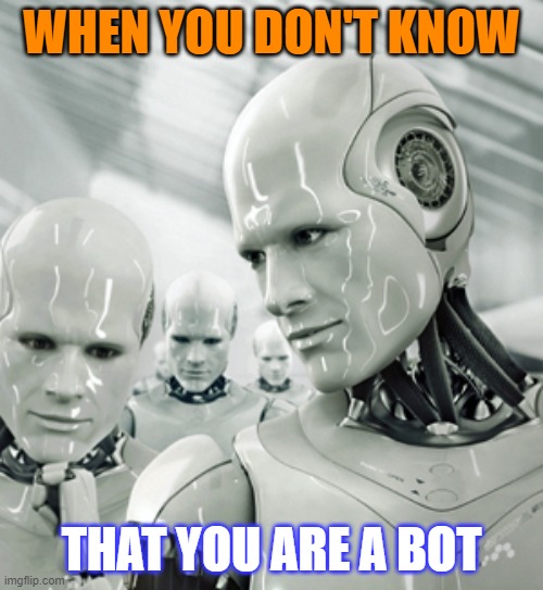 Robots Meme | WHEN YOU DON'T KNOW; THAT YOU ARE A BOT | image tagged in memes,robots | made w/ Imgflip meme maker