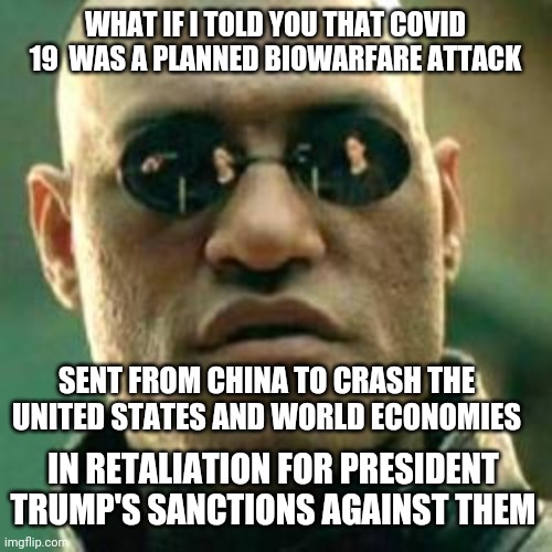 WHAT IF I TOLD YOU.... | WHAT IF I TOLD YOU THAT COVID 19  WAS A PLANNED BIOWARFARE ATTACK; SENT FROM CHINA TO CRASH THE UNITED STATES AND WORLD ECONOMIES; IN RETALIATION FOR PRESIDENT TRUMP'S SANCTIONS AGAINST THEM | image tagged in what if i told you | made w/ Imgflip meme maker