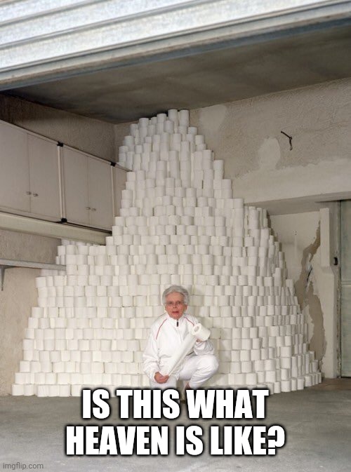 mountain of toilet paper | IS THIS WHAT HEAVEN IS LIKE? | image tagged in mountain of toilet paper | made w/ Imgflip meme maker