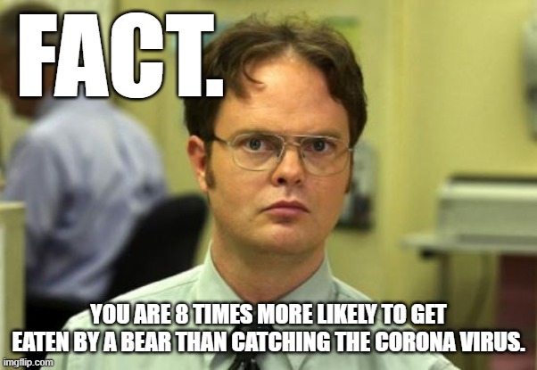 Dwight Schrute Meme | FACT. YOU ARE 8 TIMES MORE LIKELY TO GET EATEN BY A BEAR THAN CATCHING THE CORONA VIRUS. | image tagged in memes,dwight schrute | made w/ Imgflip meme maker