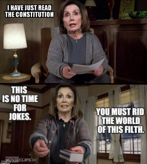 OUR MISERY | image tagged in nancy pelosi,constitution,misery | made w/ Imgflip meme maker