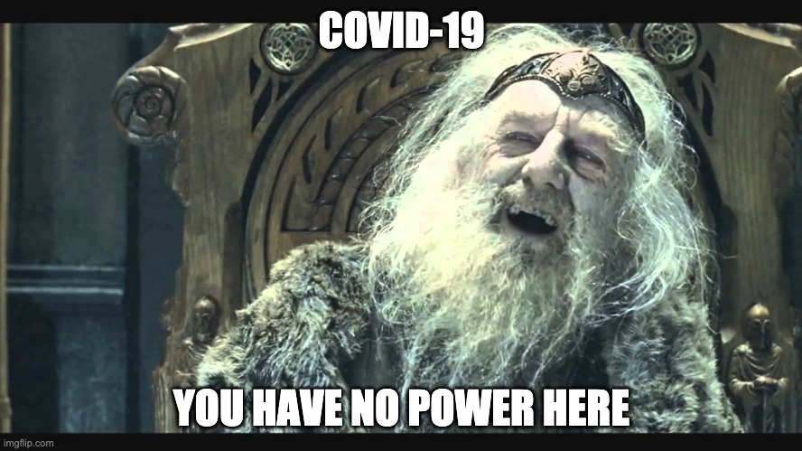 King Theoden | COVID-19; YOU HAVE NO POWER HERE | image tagged in king theoden | made w/ Imgflip meme maker