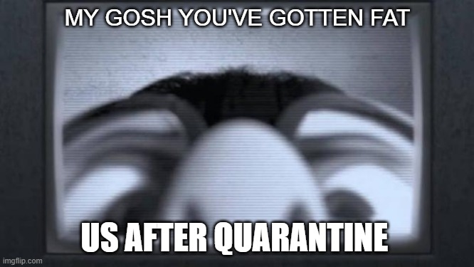 edna mode | MY GOSH YOU'VE GOTTEN FAT; US AFTER QUARANTINE | image tagged in edna mode | made w/ Imgflip meme maker