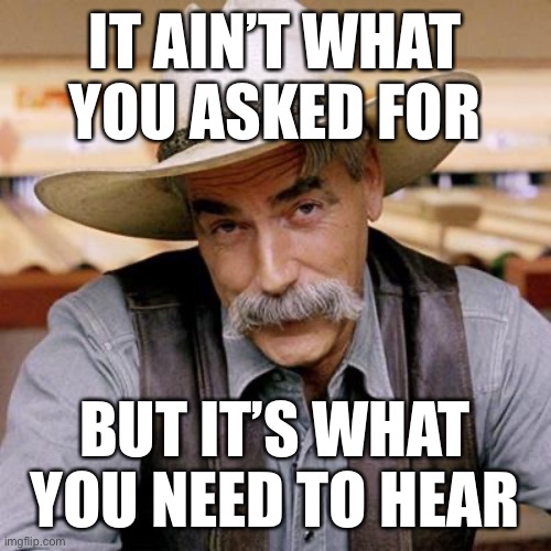 When they ask for citations and then whine about what you cited. | IT AIN’T WHAT YOU ASKED FOR; BUT IT’S WHAT YOU NEED TO HEAR | image tagged in sarcasm cowboy,evidence,abortion,pro-choice,statistics,trolling the troll | made w/ Imgflip meme maker