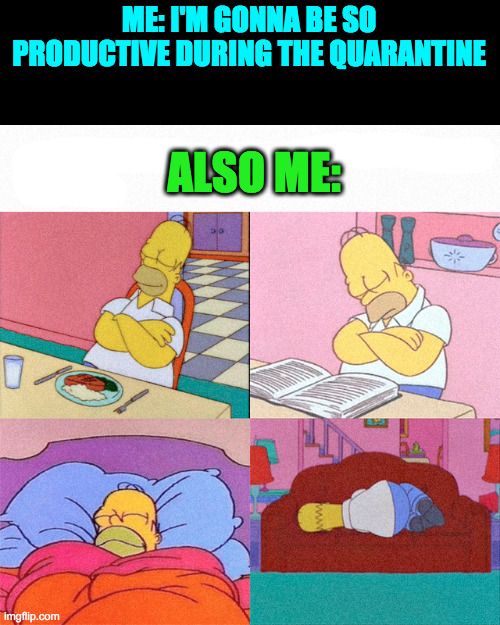 What To Do With All Your Free Time | ME: I'M GONNA BE SO PRODUCTIVE DURING THE QUARANTINE; ALSO ME: | image tagged in corronavirus,covid-19,homer,simpson,sleep | made w/ Imgflip meme maker