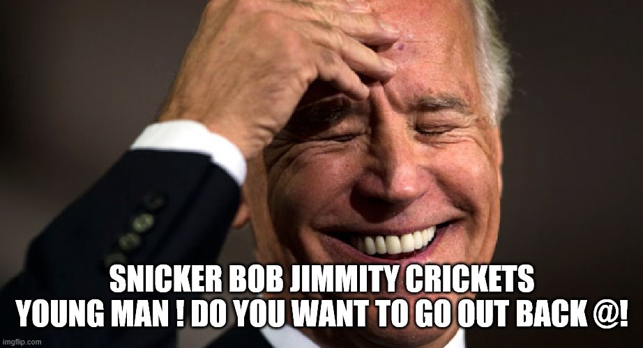 SNICKER BOB JIMMITY CRICKETS YOUNG MAN ! DO YOU WANT TO GO OUT BACK @! | made w/ Imgflip meme maker
