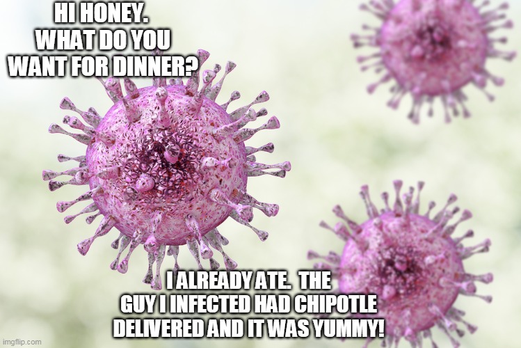 Star wars | HI HONEY.  WHAT DO YOU WANT FOR DINNER? I ALREADY ATE.  THE GUY I INFECTED HAD CHIPOTLE DELIVERED AND IT WAS YUMMY! | image tagged in coronavirus | made w/ Imgflip meme maker