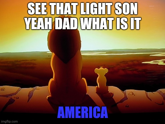 Lion King Meme | SEE THAT LIGHT SON
YEAH DAD WHAT IS IT; AMERICA | image tagged in memes,lion king | made w/ Imgflip meme maker
