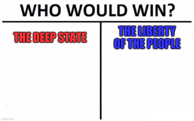 Whoever has the most drones... oops, whoever dies with the most toys........... | THE DEEP STATE; THE LIBERTY OF THE PEOPLE | image tagged in memes,who would win | made w/ Imgflip meme maker