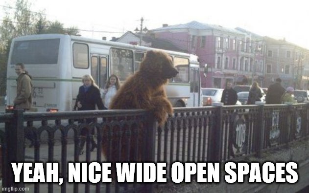 City Bear Meme | YEAH, NICE WIDE OPEN SPACES | image tagged in memes,city bear | made w/ Imgflip meme maker