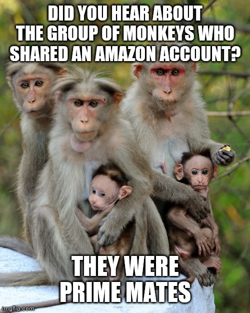 From the depths of the Amazon | DID YOU HEAR ABOUT THE GROUP OF MONKEYS WHO SHARED AN AMAZON ACCOUNT? THEY WERE PRIME MATES | image tagged in monkeys,dad joke | made w/ Imgflip meme maker
