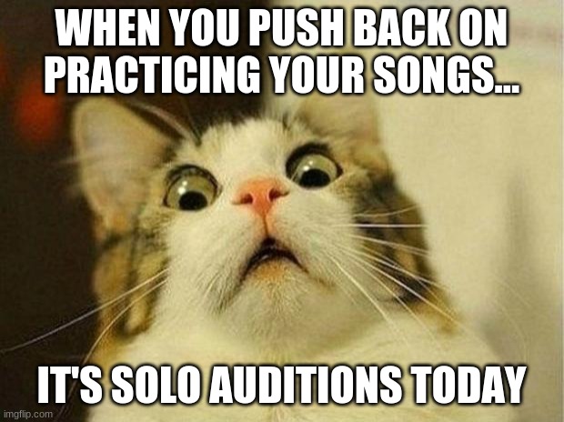 Scared Cat | WHEN YOU PUSH BACK ON PRACTICING YOUR SONGS... IT'S SOLO AUDITIONS TODAY | image tagged in memes,scared cat | made w/ Imgflip meme maker