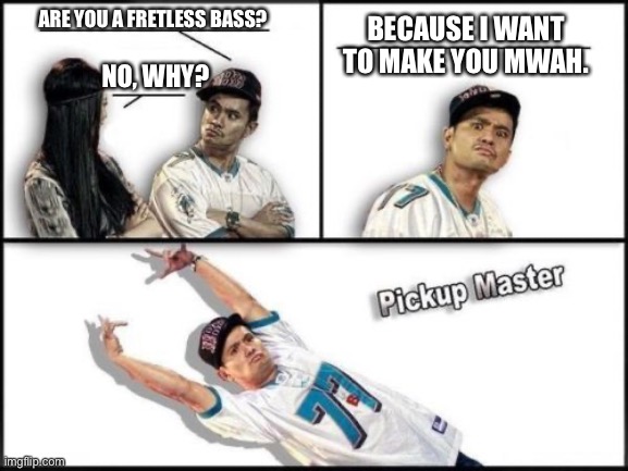 Pickup Master | ARE YOU A FRETLESS BASS? BECAUSE I WANT TO MAKE YOU MWAH. NO, WHY? | image tagged in memes,pickup master | made w/ Imgflip meme maker