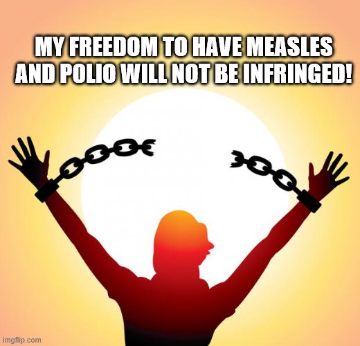 freedom | MY FREEDOM TO HAVE MEASLES AND POLIO WILL NOT BE INFRINGED! | image tagged in freedom | made w/ Imgflip meme maker