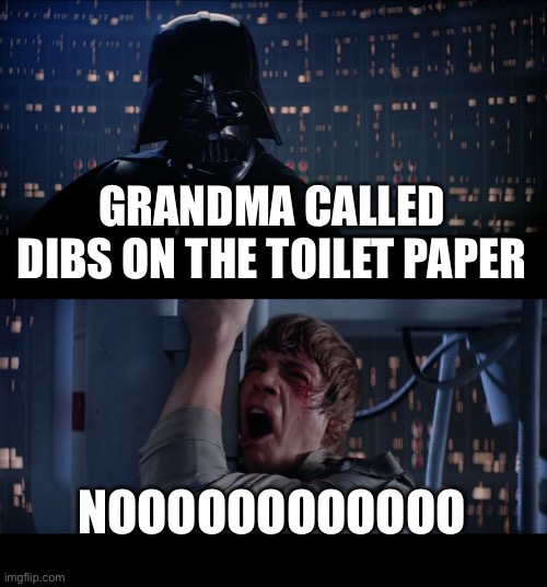 Star Wars No Meme | GRANDMA CALLED DIBS ON THE TOILET PAPER; NOOOOOOOOOOOO | image tagged in memes,star wars no | made w/ Imgflip meme maker