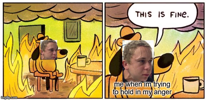 This Is Fine Meme | me when im trying to hold in my anger | image tagged in memes,this is fine | made w/ Imgflip meme maker