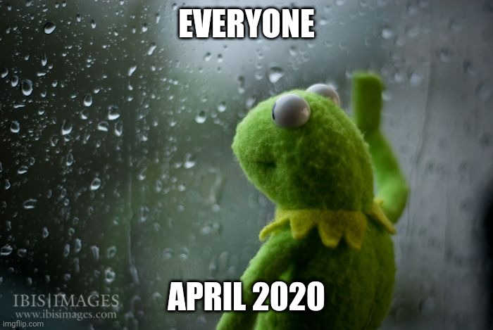 kermit window | EVERYONE; APRIL 2020 | image tagged in kermit window | made w/ Imgflip meme maker