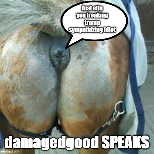 Just stfu you freaking trump sympathizing idiot damagedgood SPEAKS | made w/ Imgflip meme maker