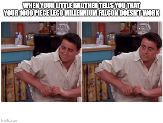 Joey from Friends | WHEN YOUR LITTLE BROTHER TELLS YOU THAT YOUR 1000 PIECE LEGO MILLENNIUM FALCON DOESN'T WORK | image tagged in joey from friends | made w/ Imgflip meme maker