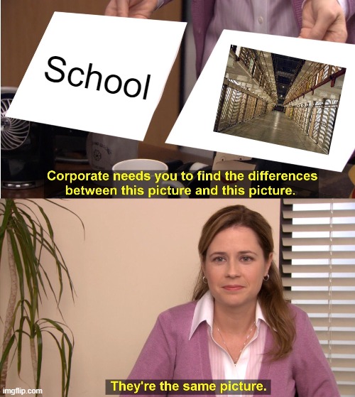 They're The Same Picture | School | image tagged in memes,they're the same picture | made w/ Imgflip meme maker