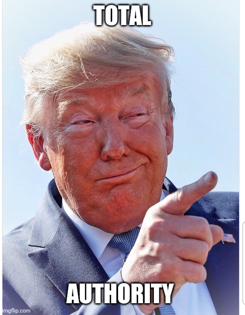 Trump pointing | TOTAL AUTHORITY | image tagged in trump pointing | made w/ Imgflip meme maker