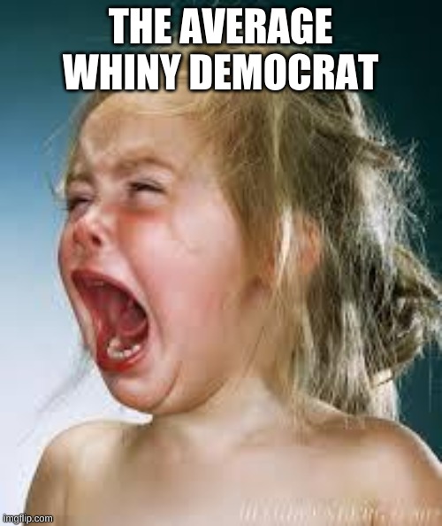 Crying Baby | THE AVERAGE WHINY DEMOCRAT | image tagged in crying baby | made w/ Imgflip meme maker