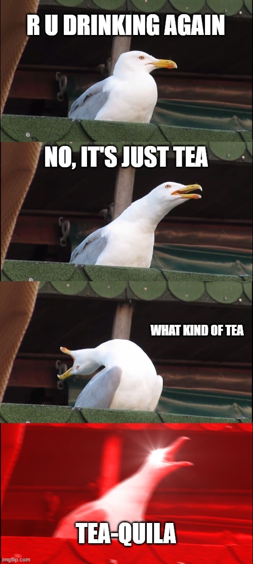 Inhaling Seagull Meme | R U DRINKING AGAIN; NO, IT'S JUST TEA; WHAT KIND OF TEA; TEA-QUILA | image tagged in memes,inhaling seagull | made w/ Imgflip meme maker