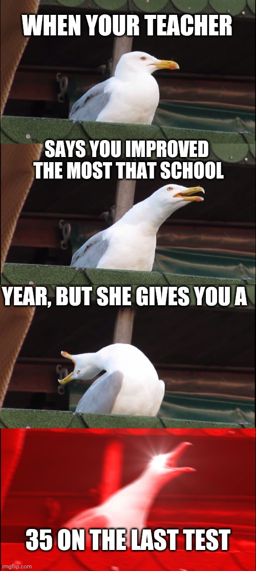 Inhaling Seagull | WHEN YOUR TEACHER; SAYS YOU IMPROVED  THE MOST THAT SCHOOL; YEAR, BUT SHE GIVES YOU A; 35 ON THE LAST TEST | image tagged in memes,inhaling seagull | made w/ Imgflip meme maker