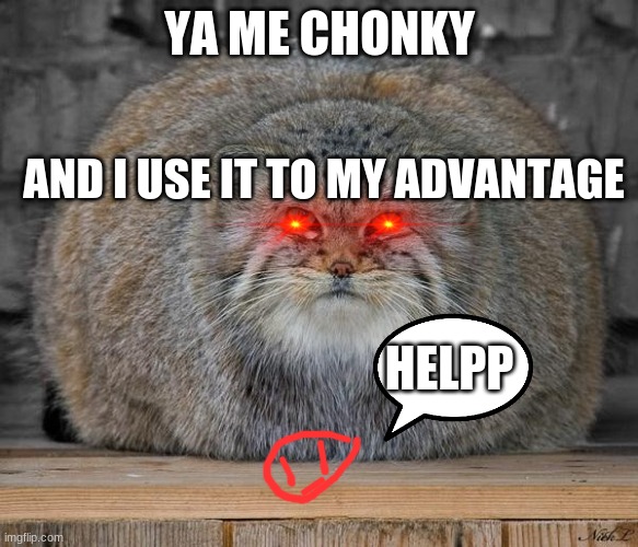 Fat Cats Exercise | YA ME CHONKY; AND I USE IT TO MY ADVANTAGE; HELPP | image tagged in fat cats exercise | made w/ Imgflip meme maker