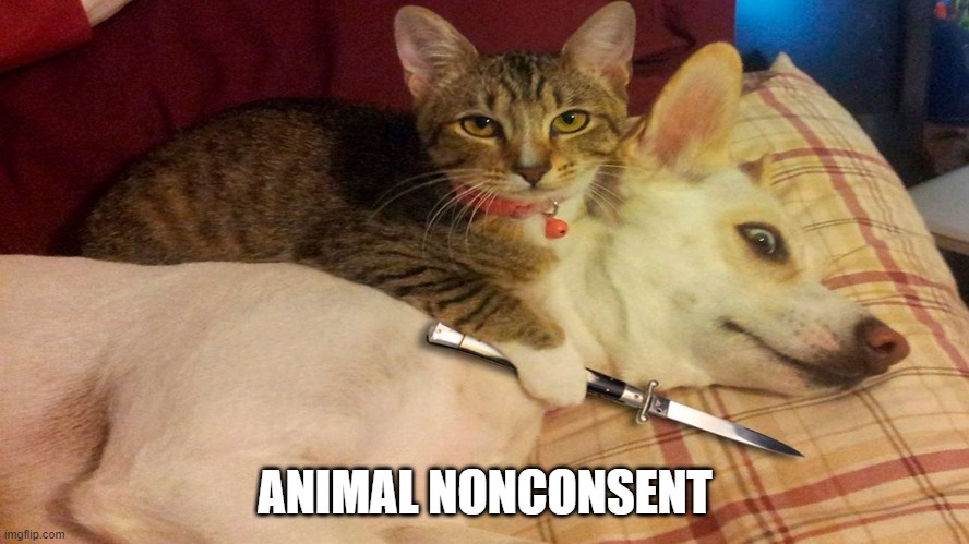 Cats vs dogs | ANIMAL NONCONSENT | image tagged in cats vs dogs | made w/ Imgflip meme maker