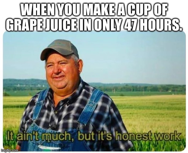Honest work | WHEN YOU MAKE A CUP OF GRAPE JUICE IN ONLY 47 HOURS. | image tagged in honest work | made w/ Imgflip meme maker