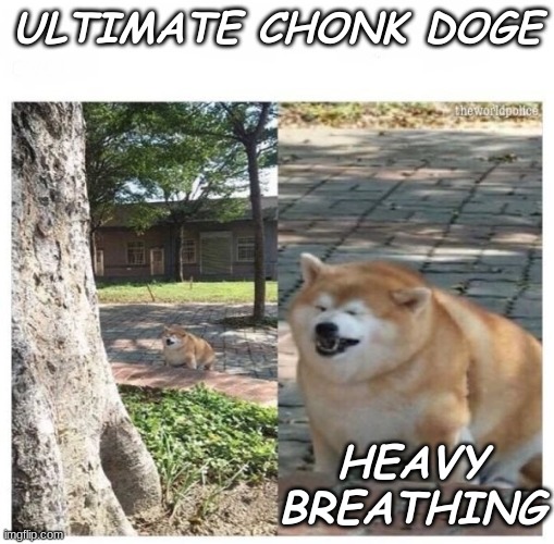 Small Obstacle Dog | ULTIMATE CHONK DOGE; HEAVY BREATHING | image tagged in small obstacle dog | made w/ Imgflip meme maker