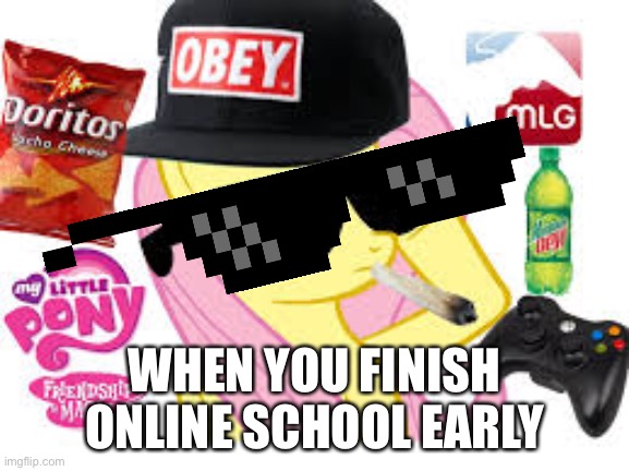 MLG Pony | WHEN YOU FINISH ONLINE SCHOOL EARLY | image tagged in mlg pony | made w/ Imgflip meme maker