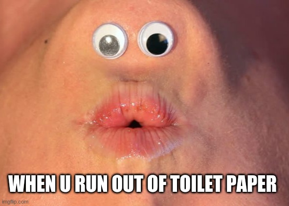 Chin Eyes | WHEN U RUN OUT OF TOILET PAPER | image tagged in chin eyes,memes | made w/ Imgflip meme maker