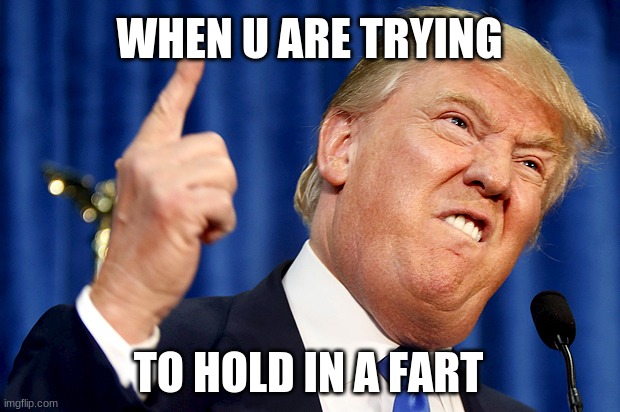 Donald Trump | WHEN U ARE TRYING; TO HOLD IN A FART | image tagged in donald trump | made w/ Imgflip meme maker