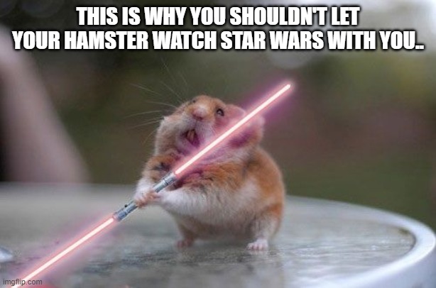 Star Wars hamster | THIS IS WHY YOU SHOULDN'T LET YOUR HAMSTER WATCH STAR WARS WITH YOU.. | image tagged in star wars hamster | made w/ Imgflip meme maker