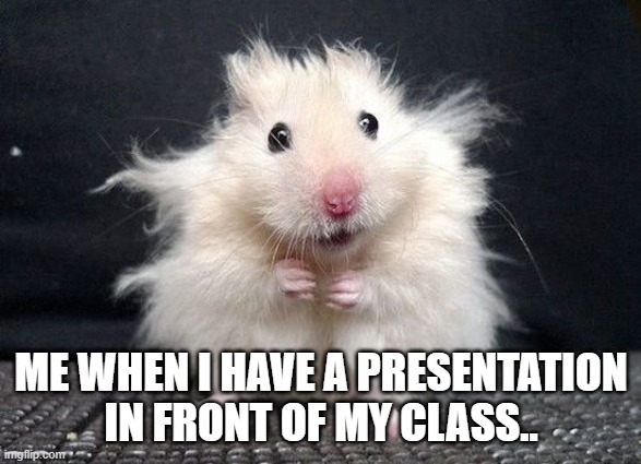 hamster | ME WHEN I HAVE A PRESENTATION IN FRONT OF MY CLASS.. | image tagged in hamster | made w/ Imgflip meme maker