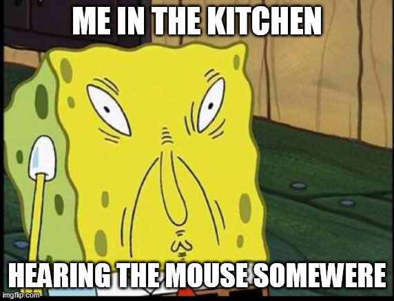 spongbobs sons supprising thing | ME IN THE KITCHEN; HEARING THE MOUSE SOMEWERE | image tagged in spongbobs sons supprising thing | made w/ Imgflip meme maker