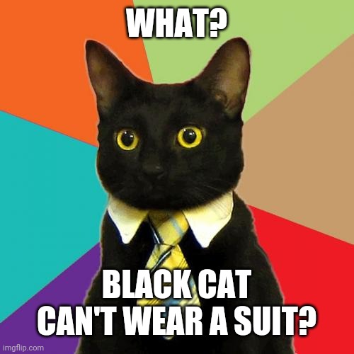 Business Cat Meme | WHAT? BLACK CAT CAN'T WEAR A SUIT? | image tagged in memes,business cat | made w/ Imgflip meme maker