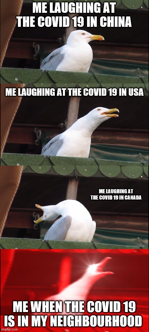 Inhaling Seagull Meme | ME LAUGHING AT THE COVID 19 IN CHINA; ME LAUGHING AT THE COVID 19 IN USA; ME LAUGHING AT THE COVID 19 IN CANADA; ME WHEN THE COVID 19 IS IN MY NEIGHBOURHOOD | image tagged in memes,inhaling seagull | made w/ Imgflip meme maker