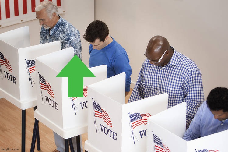 Voters | image tagged in voters | made w/ Imgflip meme maker