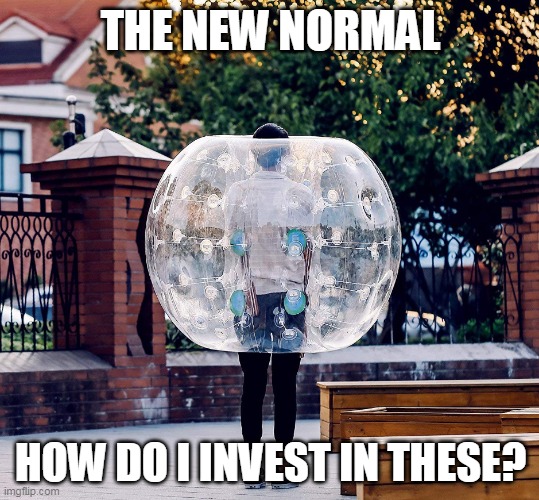 The New Normal | THE NEW NORMAL; HOW DO I INVEST IN THESE? | image tagged in the new normal | made w/ Imgflip meme maker