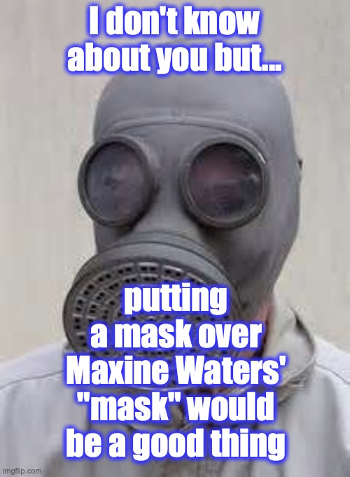 Gas mask | I don't know about you but... putting a mask over Maxine Waters' "mask" would be a good thing | image tagged in gas mask | made w/ Imgflip meme maker