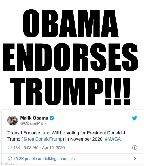 OBAMA ENDORSES TRUMP!!! | OBAMA ENDORSES TRUMP!!! | image tagged in obama endorses trump,Conservative | made w/ Imgflip meme maker