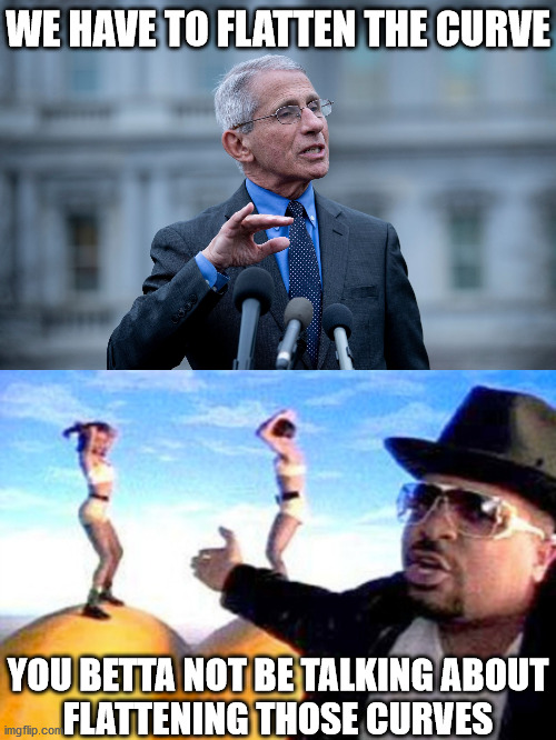 Fauci Don't Got Back | WE HAVE TO FLATTEN THE CURVE; YOU BETTA NOT BE TALKING ABOUT
FLATTENING THOSE CURVES | image tagged in fauci,memes,sir mix alot,aint nobody got time for that,one does not simply,coronavirus | made w/ Imgflip meme maker