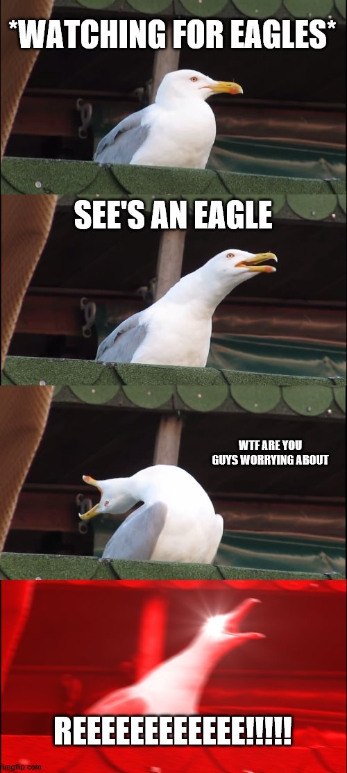 Inhaling Seagull Meme | *WATCHING FOR EAGLES*; SEE'S AN EAGLE; WTF ARE YOU GUYS WORRYING ABOUT; REEEEEEEEEEEE!!!!! | image tagged in memes,inhaling seagull | made w/ Imgflip meme maker