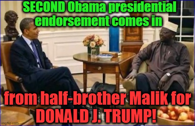 At least ONE Obama has his head on straight! | SECOND Obama presidential endorsement comes in; from half-brother Malik for
DONALD J. TRUMP! | image tagged in politics,political meme,politics lol,politicians,american politics,donald trump approves | made w/ Imgflip meme maker