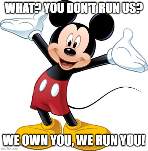 Mickey Mouse | WHAT? YOU DON'T RUN US? WE OWN YOU, WE RUN YOU! | image tagged in mickey mouse | made w/ Imgflip meme maker